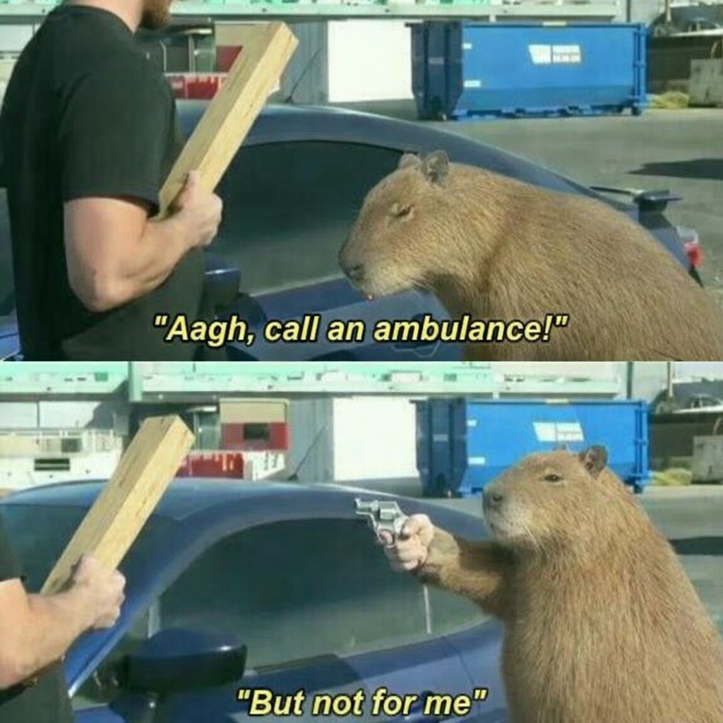 Leonardo Pigeonacci tweet media