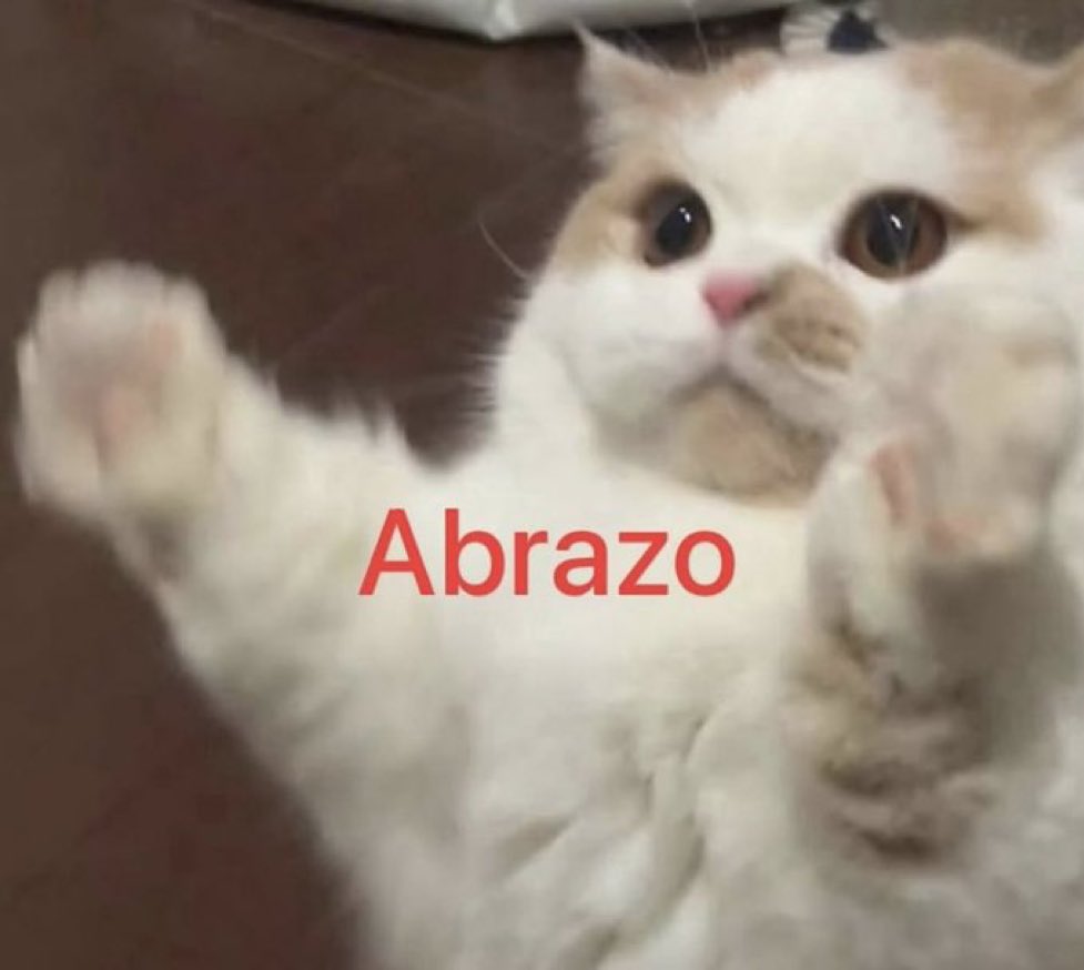 gatos fazendo gatices tweet media