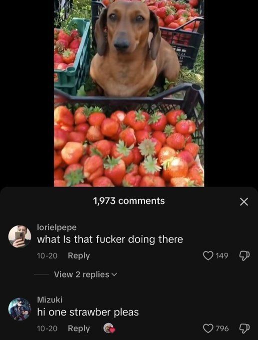 AAAAAAAAAA tweet media