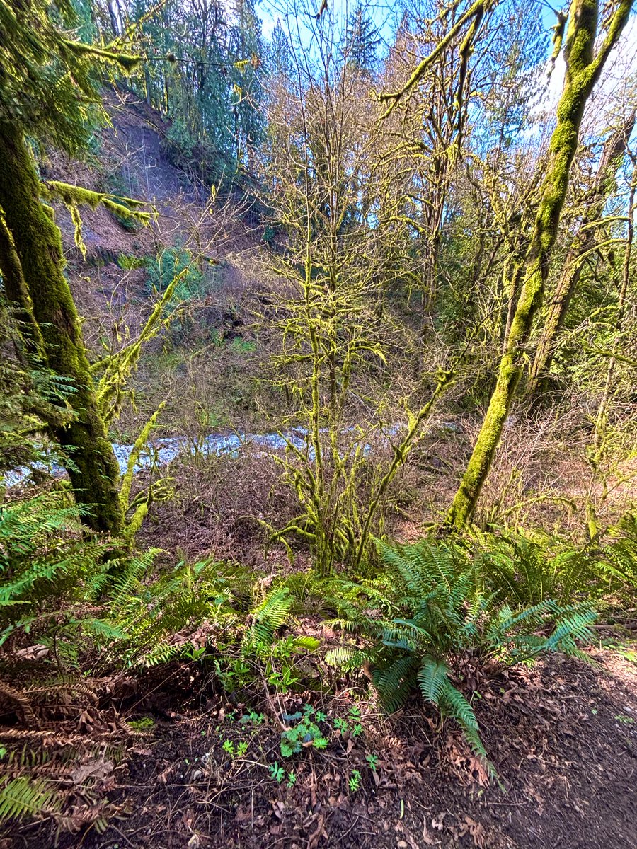 LovePeaceNdance tweet media