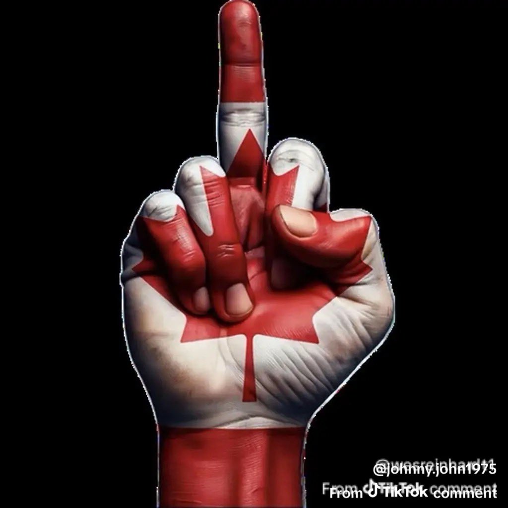 My View on the World tweet media