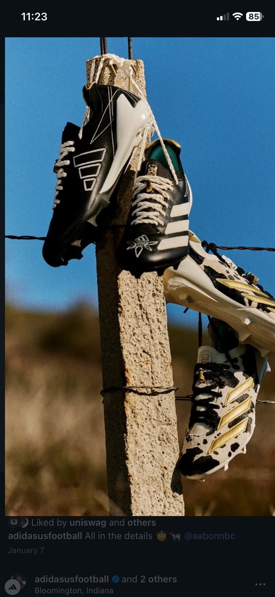 College football Enthusiast 🍢🍢🍢 tweet media