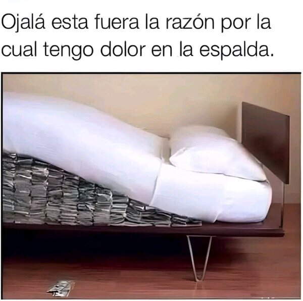 AlimentoZ tweet media