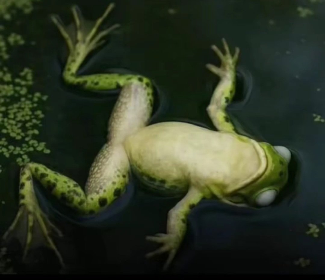 جرح 💛💙 tweet media