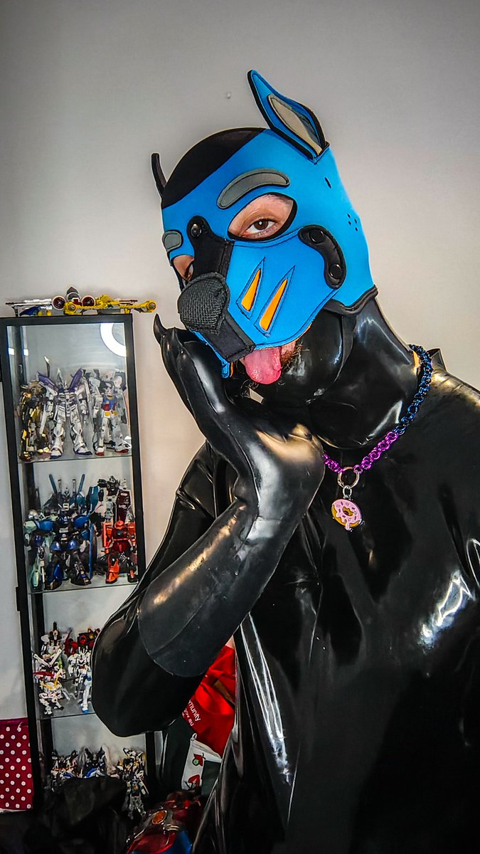 Pup boxer tweet media