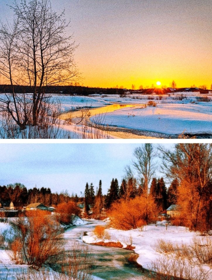 Сергей Лесник tweet media