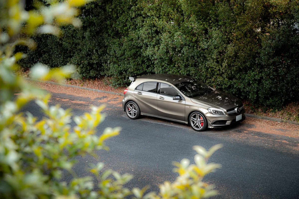 ピヌガヌ tweet media