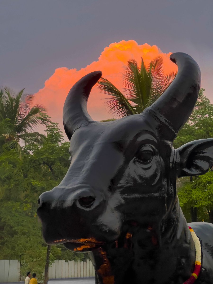 Isha Foundation tweet media