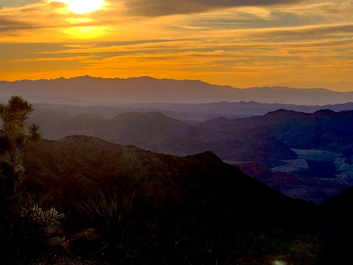 Flawwed1 tweet media