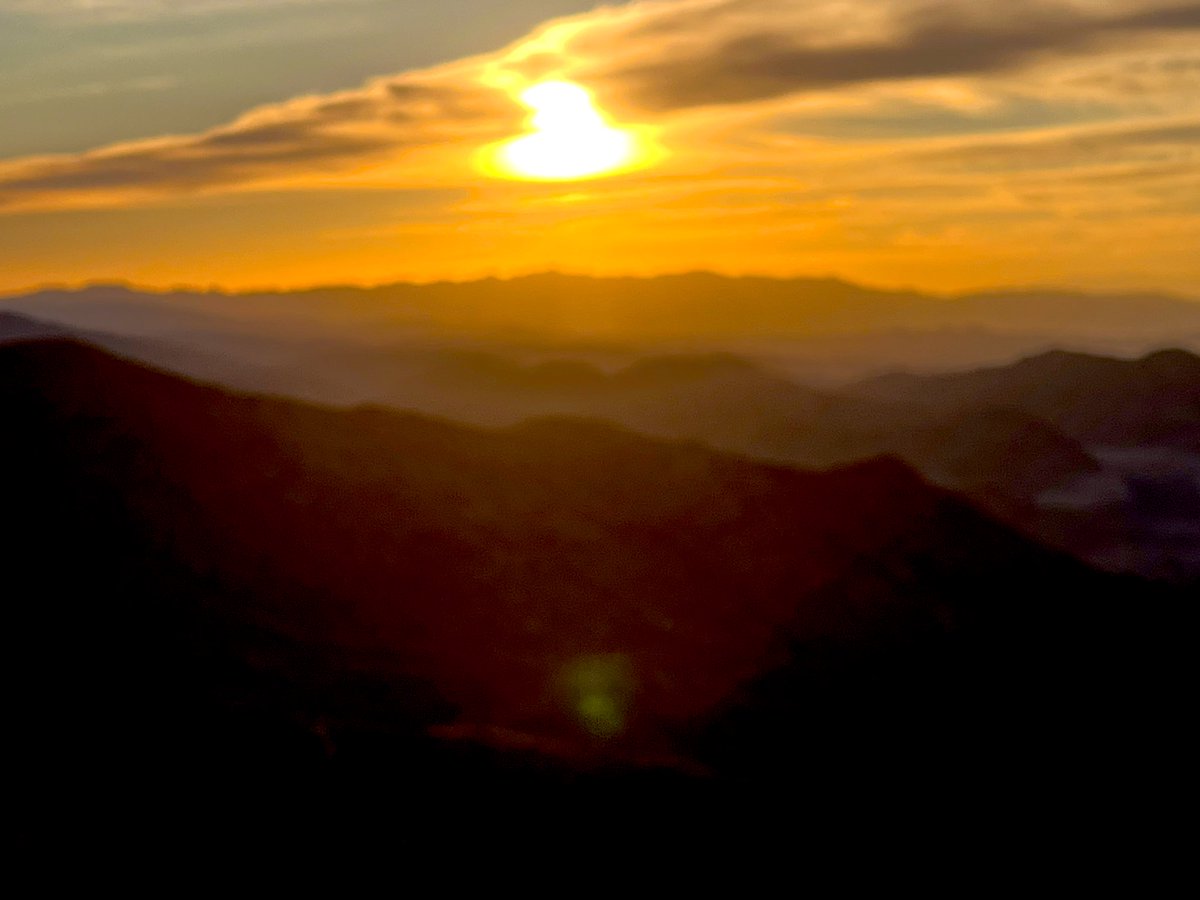 Flawwed1 tweet media