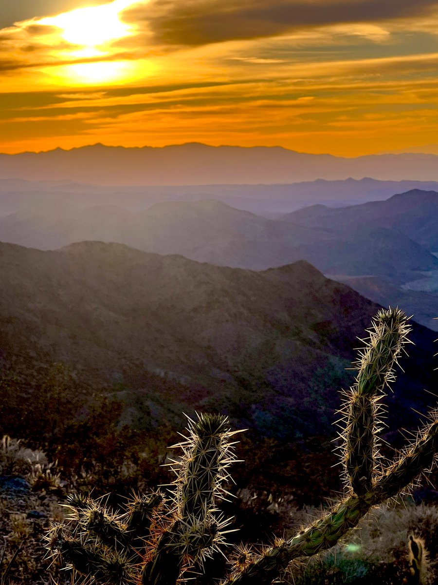 Flawwed1 tweet media