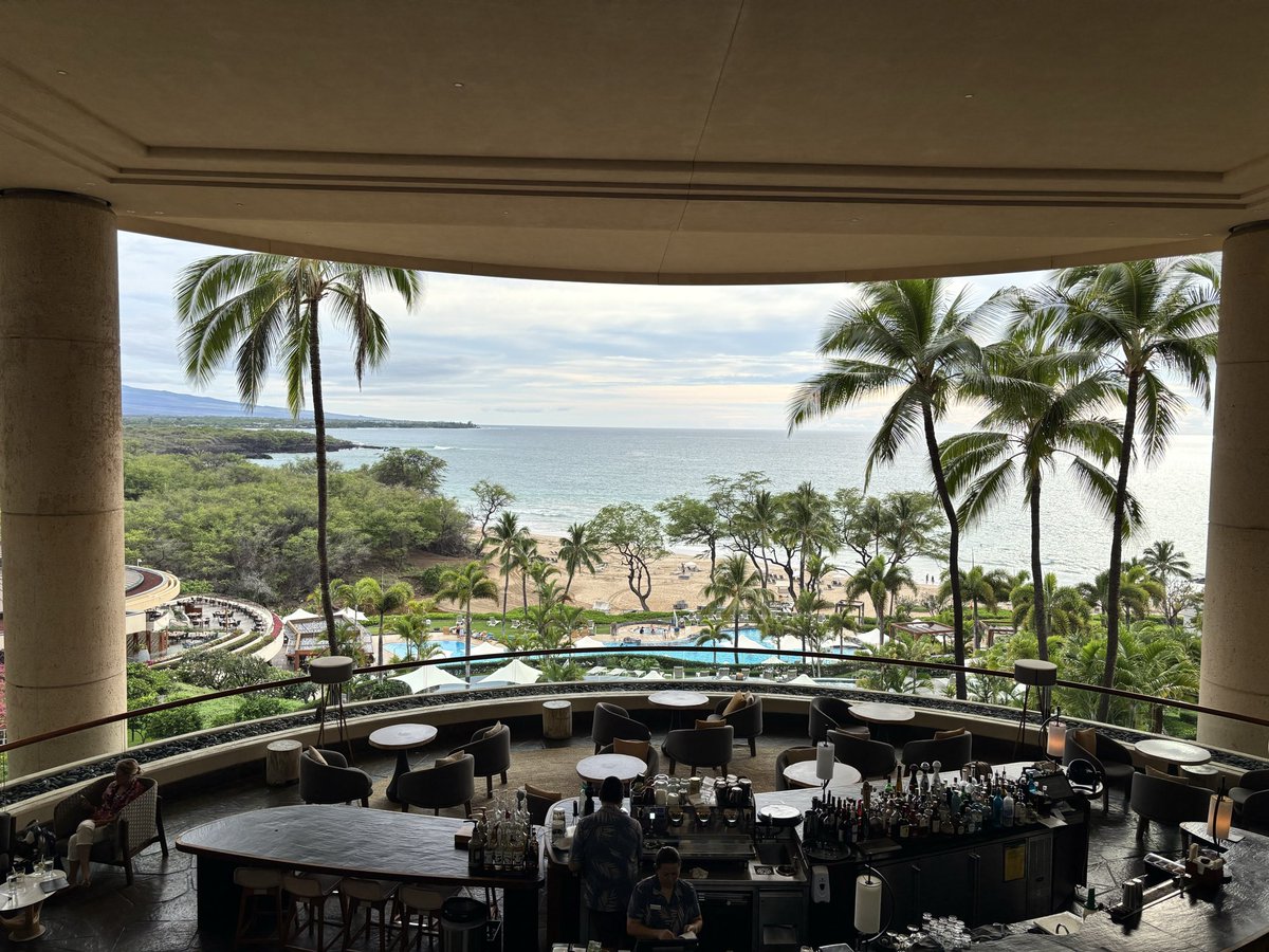 New Chonk City tweet media