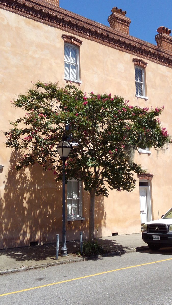 David Scott Harris tweet media