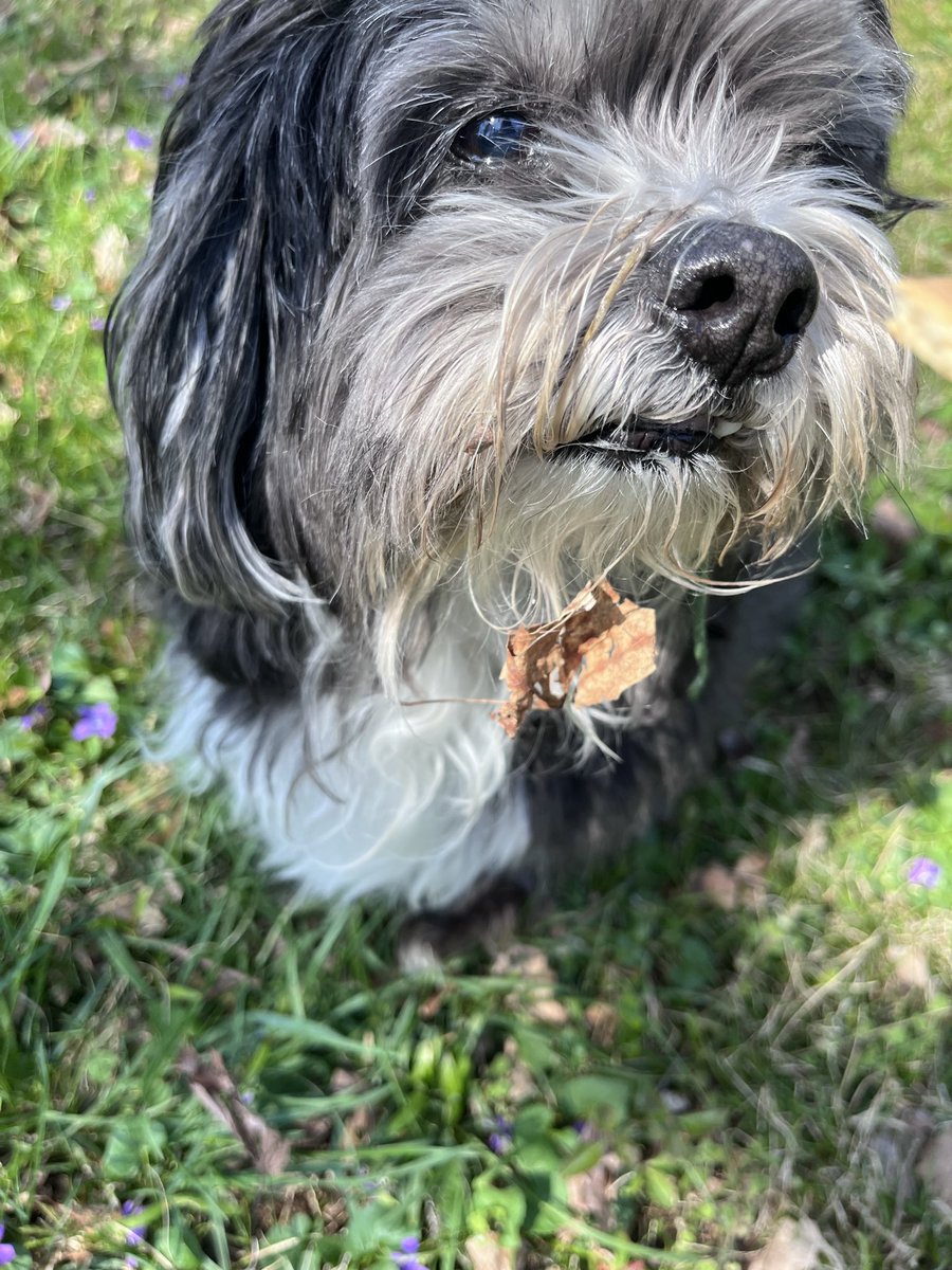 Freebo Jones tweet media