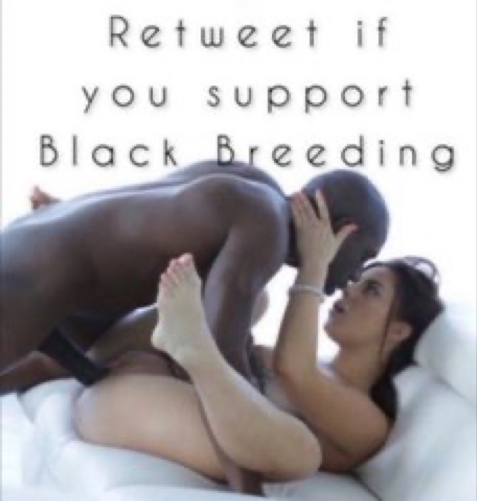 ALPHA BULL tweet media