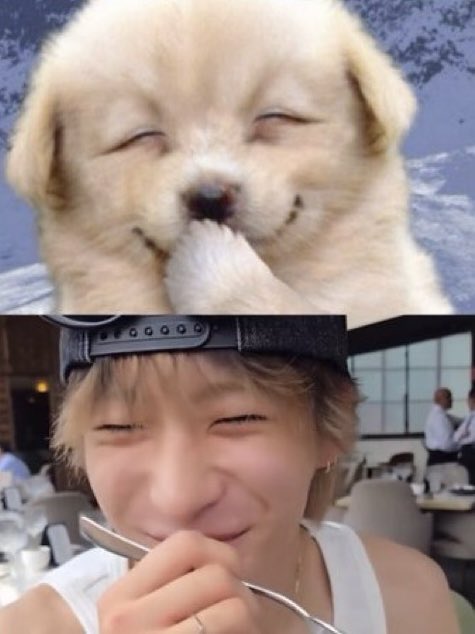 #HappyNationalPuppyDay