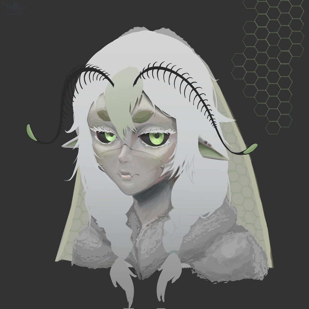 Banana 🍉 tweet media