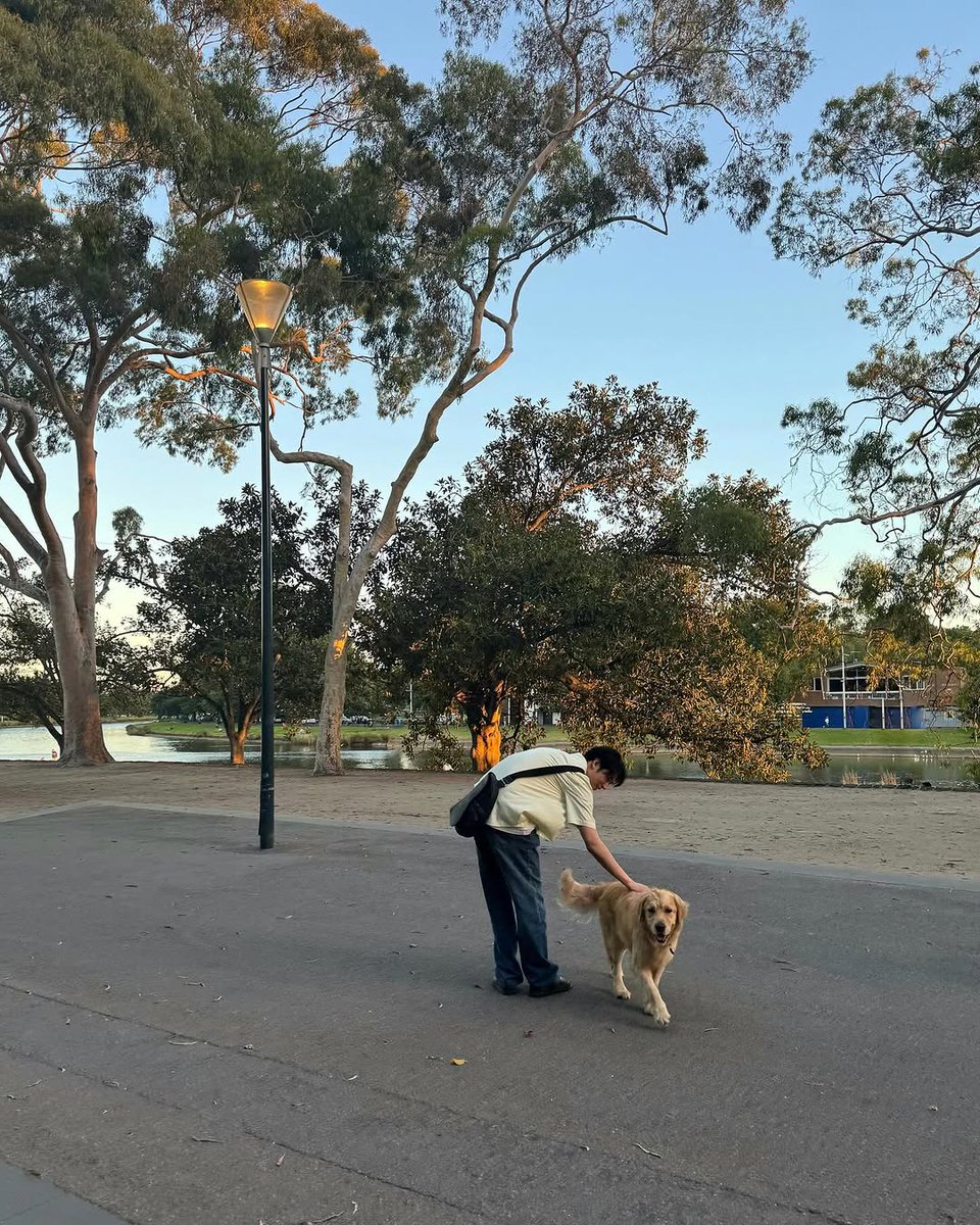 세계 강아지의 날 🐶🖤
서함이 하면 골든 리트리버가 생각나~

#박서함 #세계강아지의날🐶