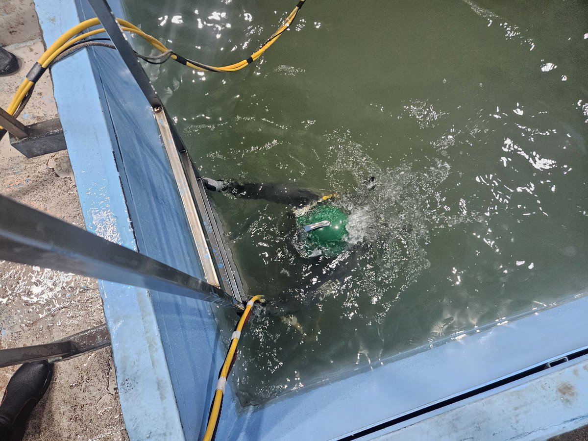 🐇 각오의 빈토쨩 🌸 tweet media