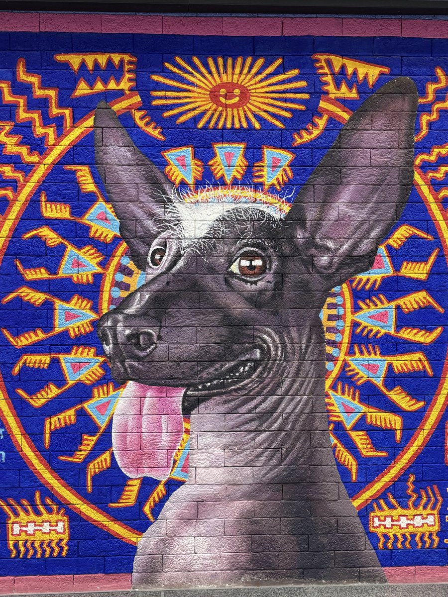 ₥ån ᶤᵑ ₿⌊âć₭ (₳,⛳️) tweet media