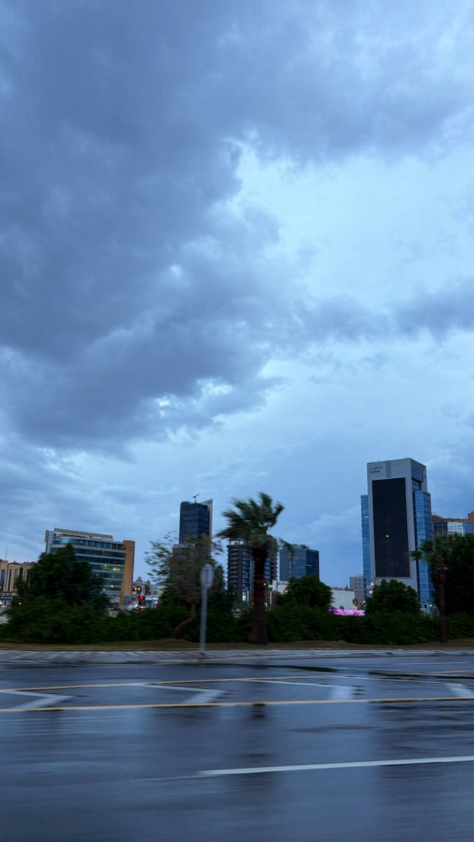 مشاري tweet media