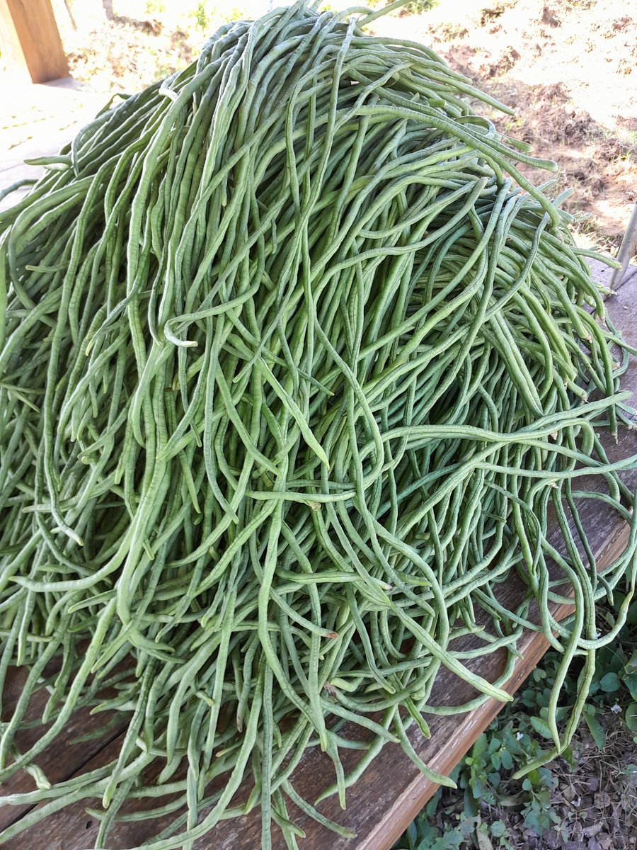 azeL order ke wa di bio tweet media