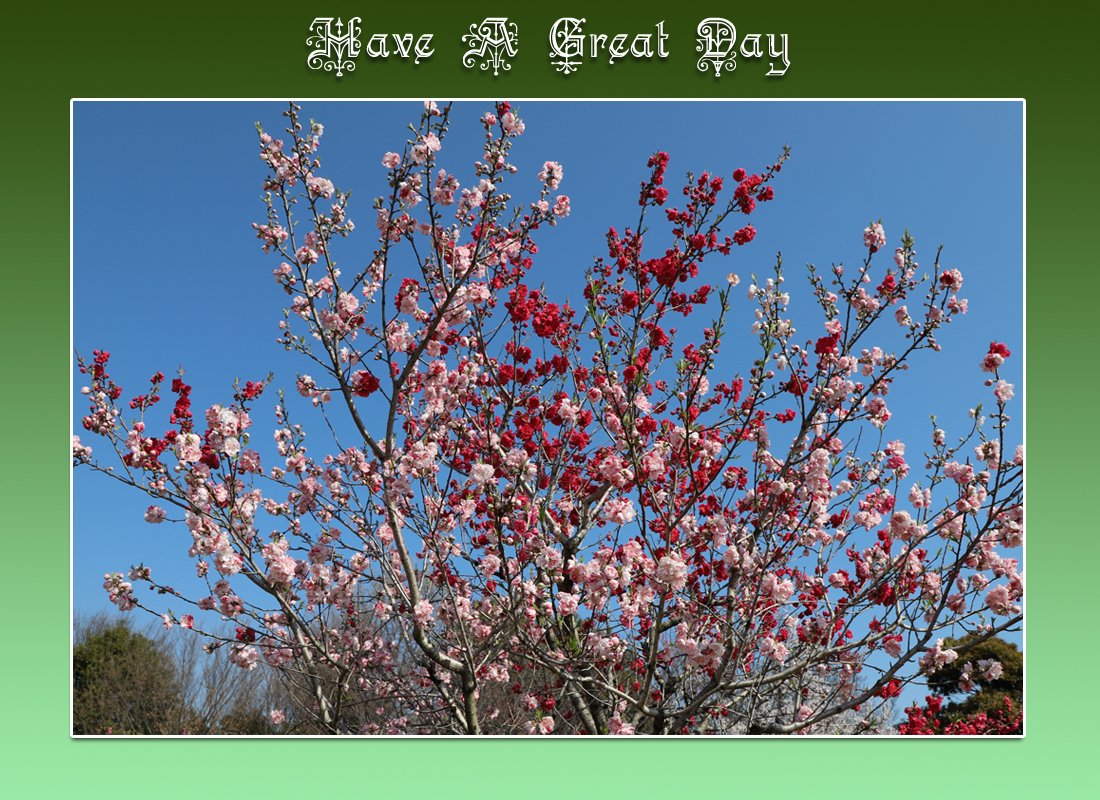 Hiro Kitsukawa tweet media