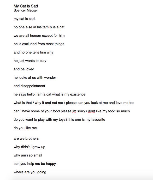 cryptid 🦇 tweet media