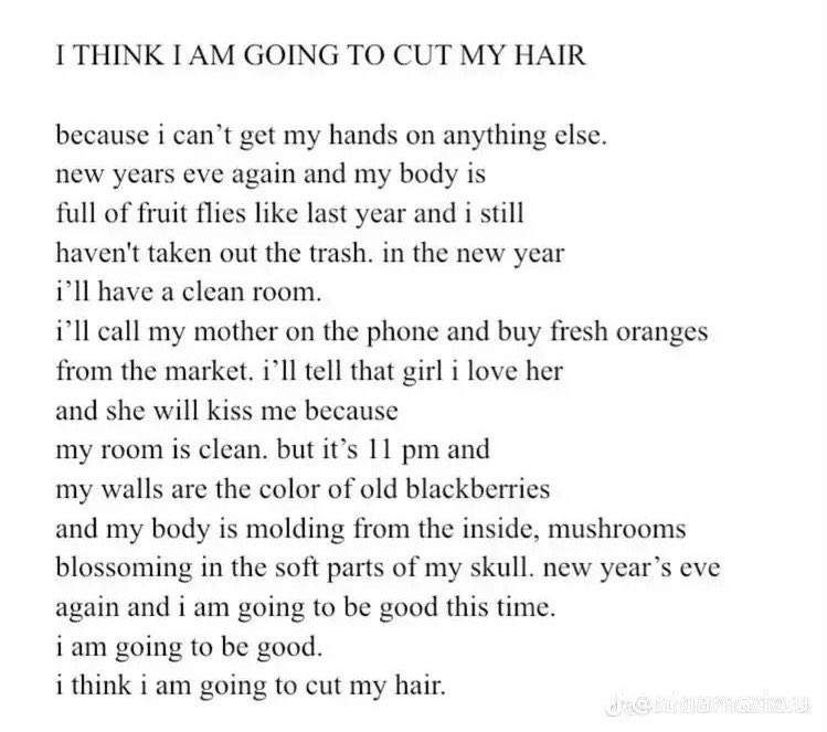 cryptid 🦇 tweet media