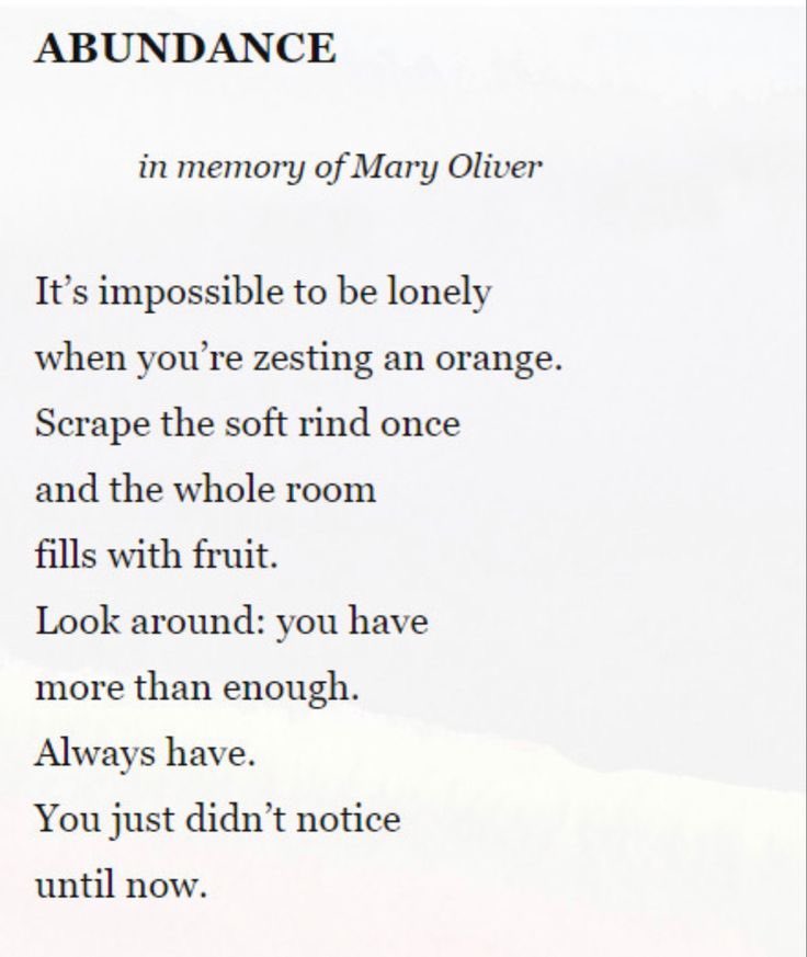 cryptid 🦇 tweet media