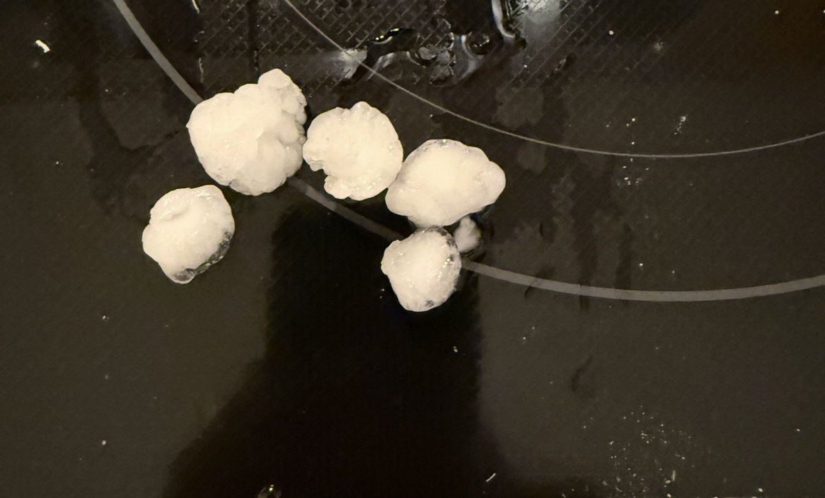 Larry-Buckifan4life tweet media