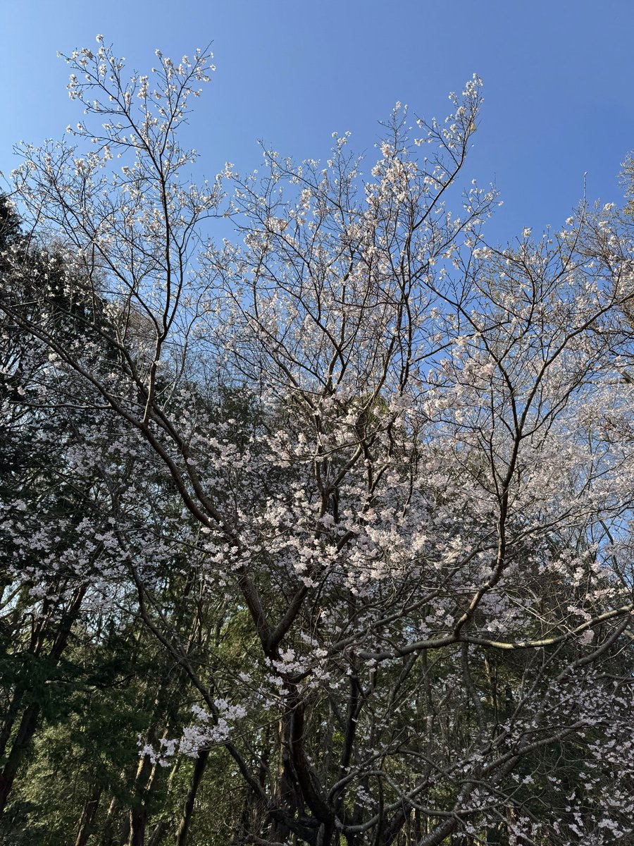 Hiro Kitsukawa tweet media