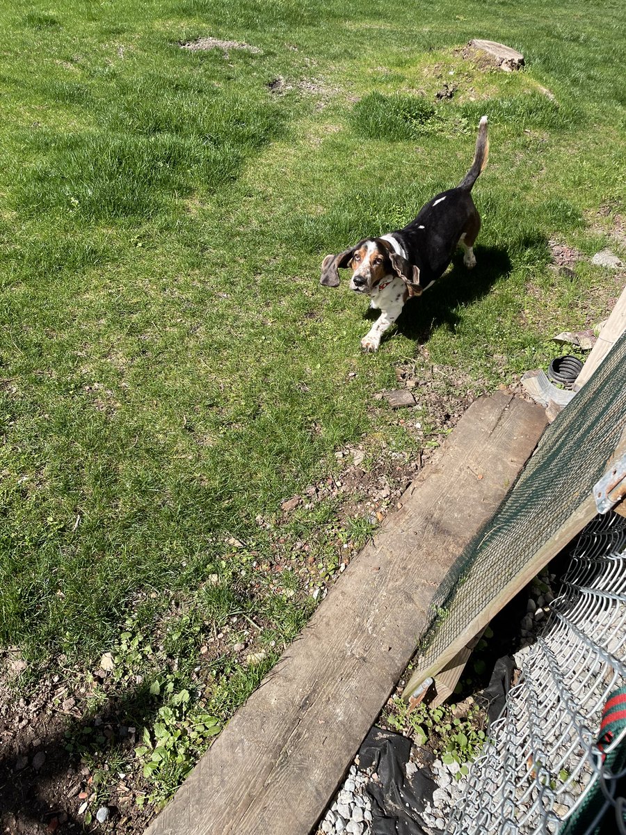 Karls (legally baby) tweet media