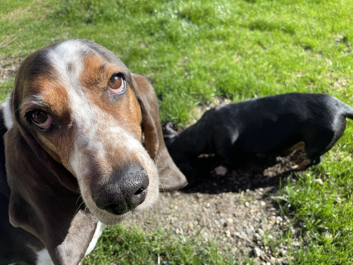 Karls (legally baby) tweet media