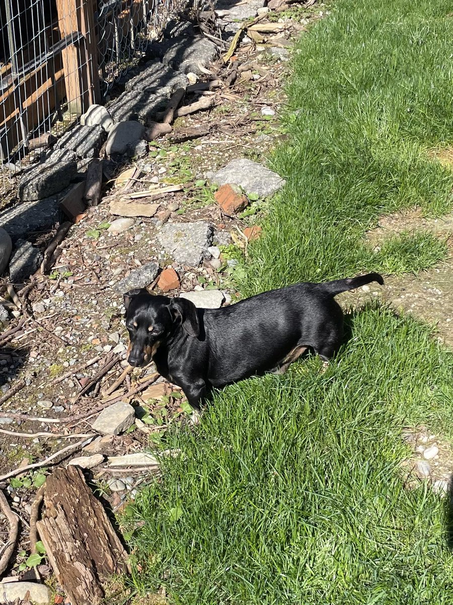 Karls (legally baby) tweet media