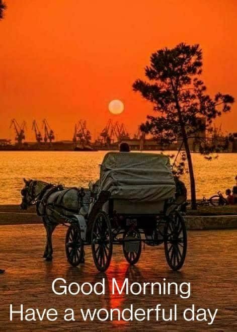 crypto hunter tweet media