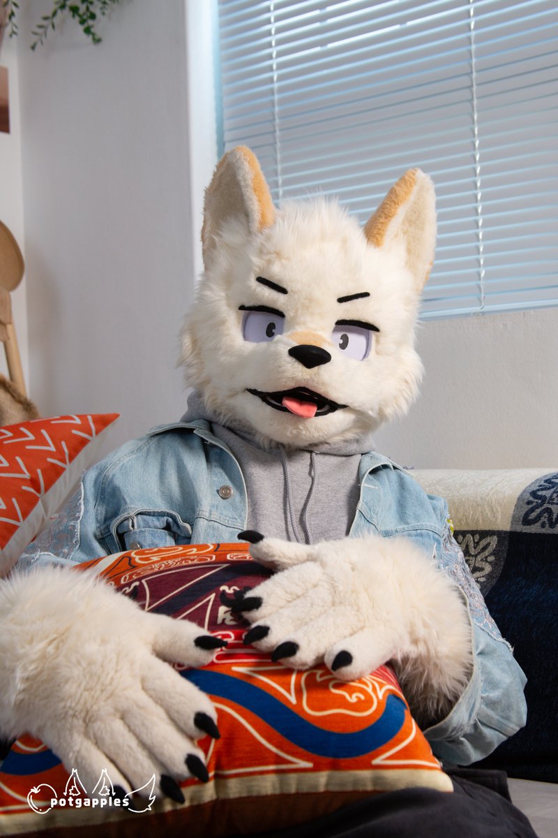 동지혁🔜FurstClass tweet media