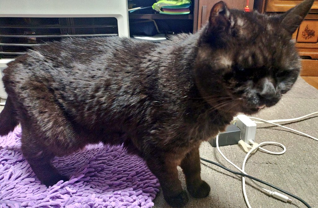 マスター48（リアル） tweet media