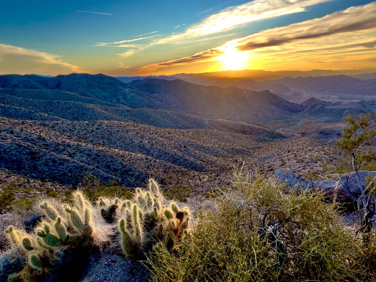 Flawwed1 tweet media