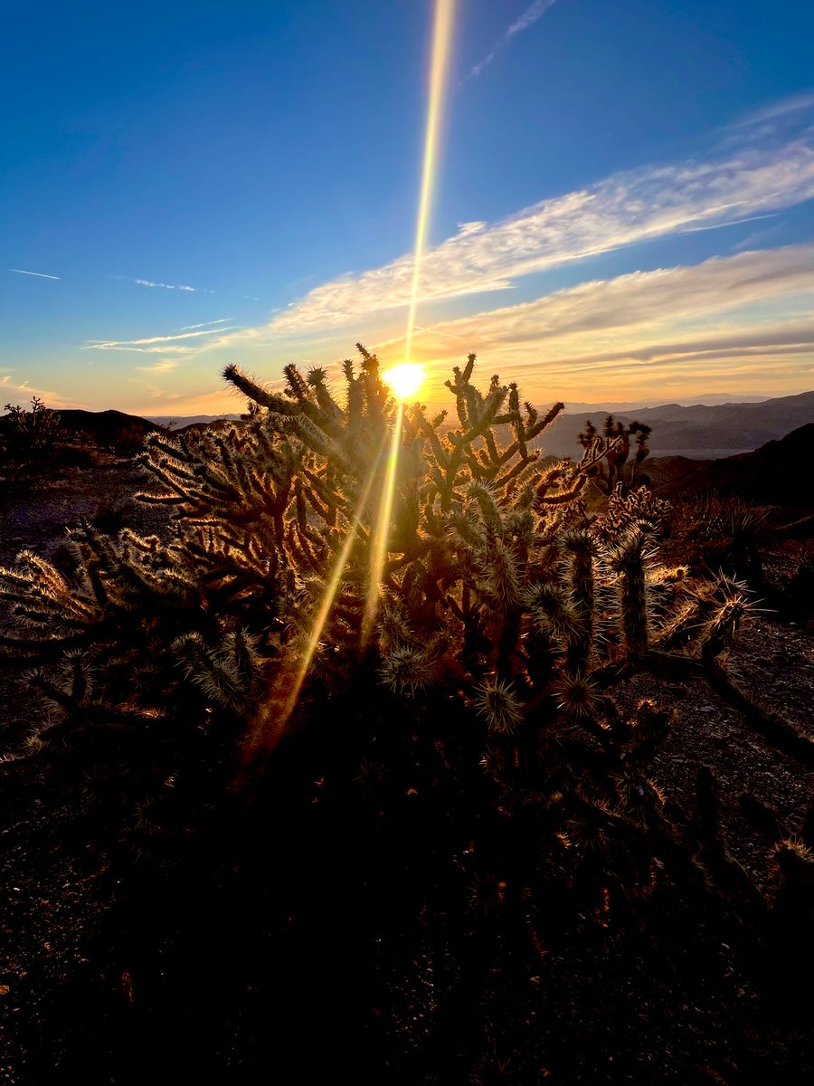 Flawwed1 tweet media