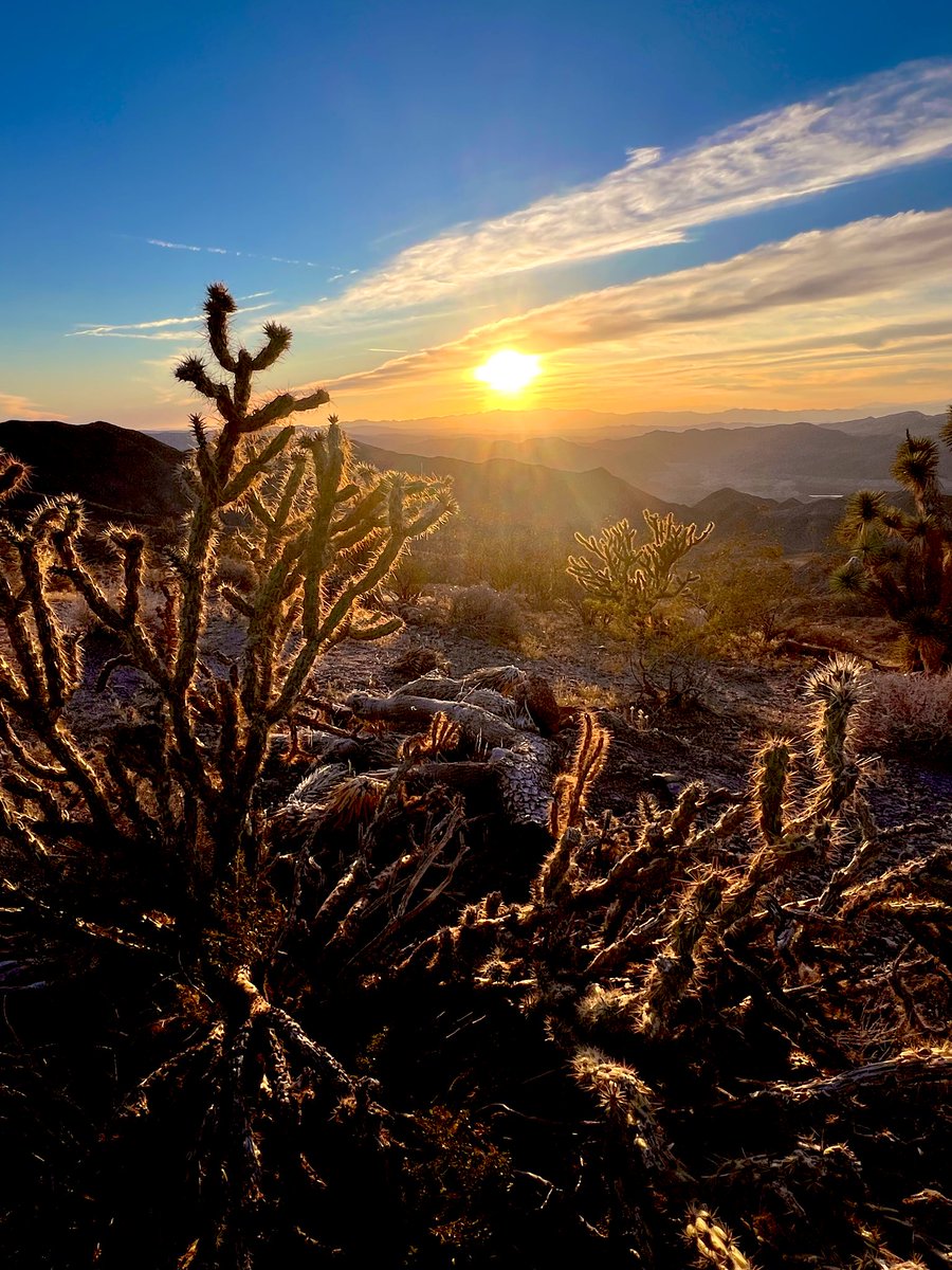 Flawwed1 tweet media