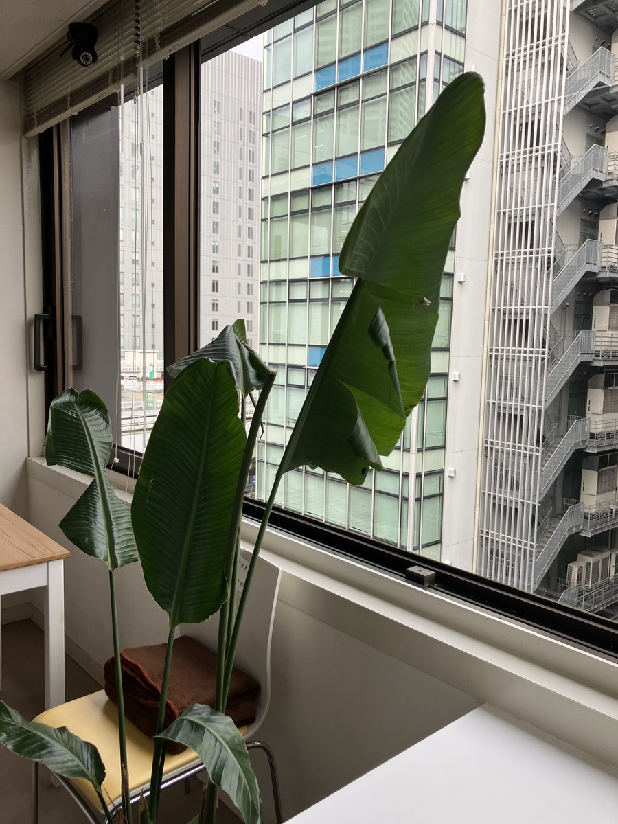 colocoコロコ/神戸市三宮駅シェアオフィス＆コワーキングスペース tweet media