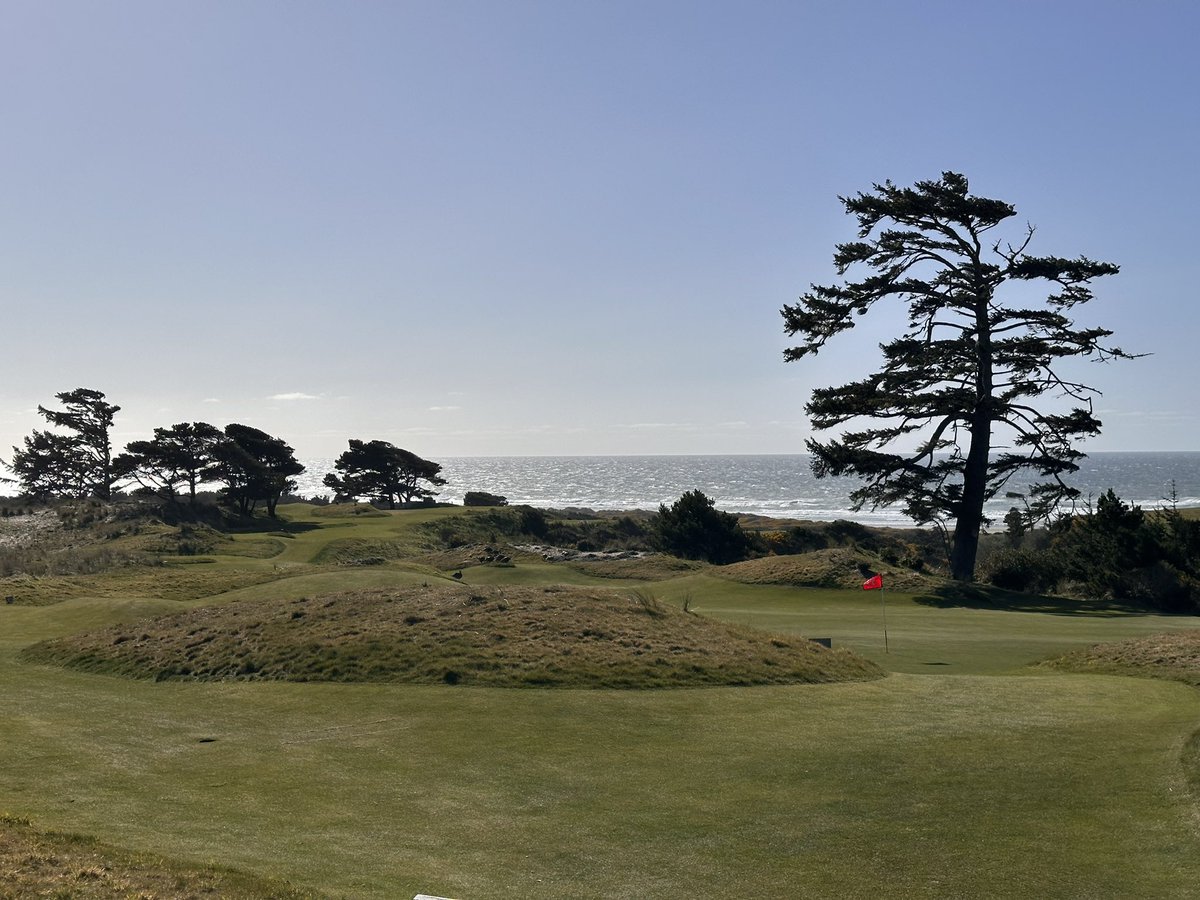 hardfork tweet media