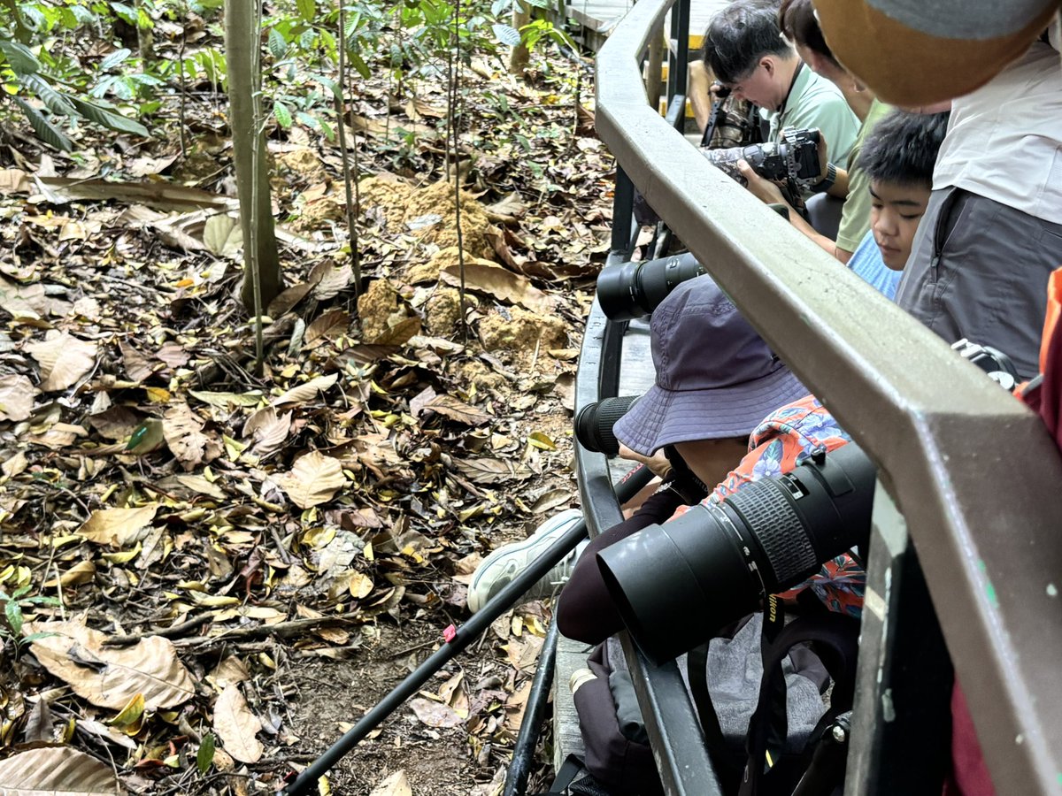 Dr Timothy Utteridge tweet media