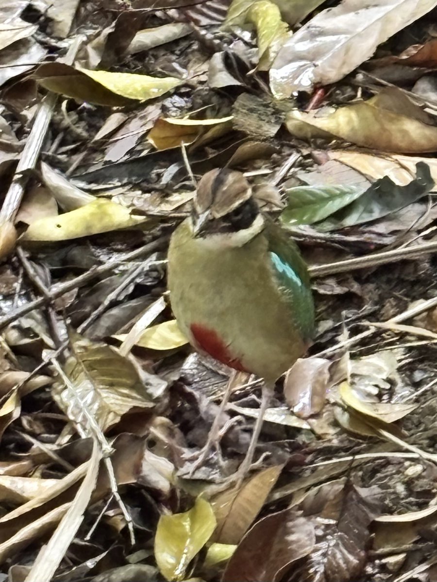 Dr Timothy Utteridge tweet media