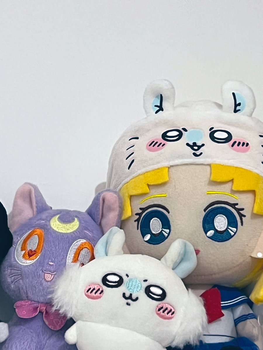 Јαnvier tweet media