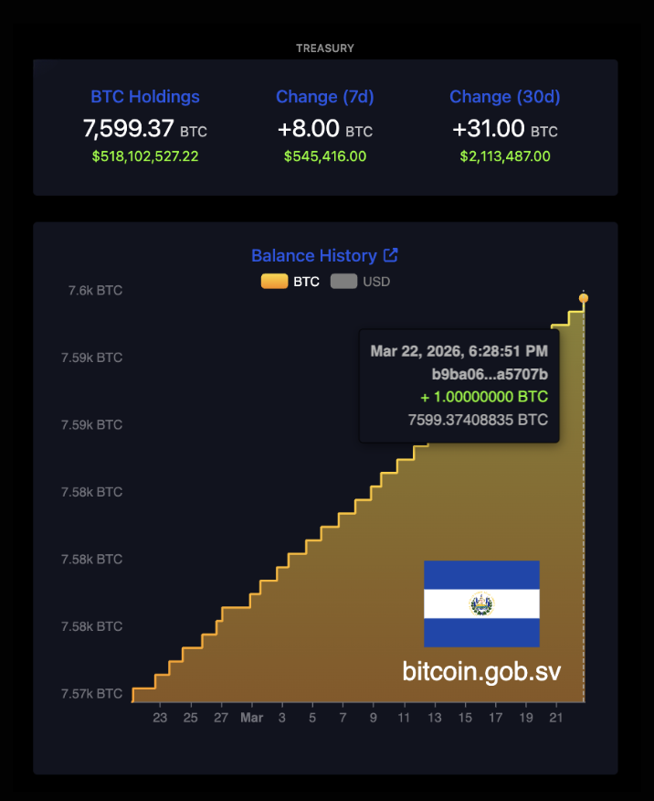 The Bitcoin Office tweet media