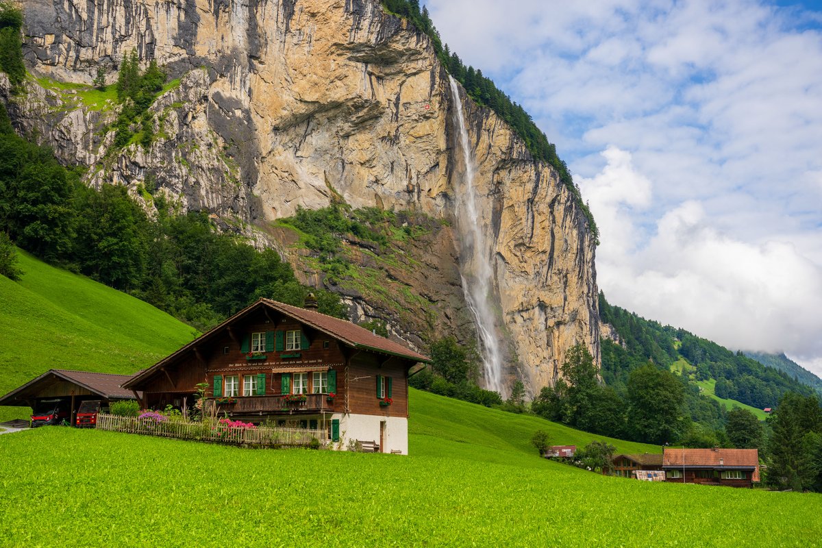 meshal 🇰🇼 tweet media