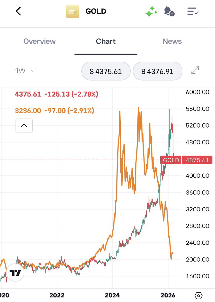 Rebecca Fernandez tweet media
