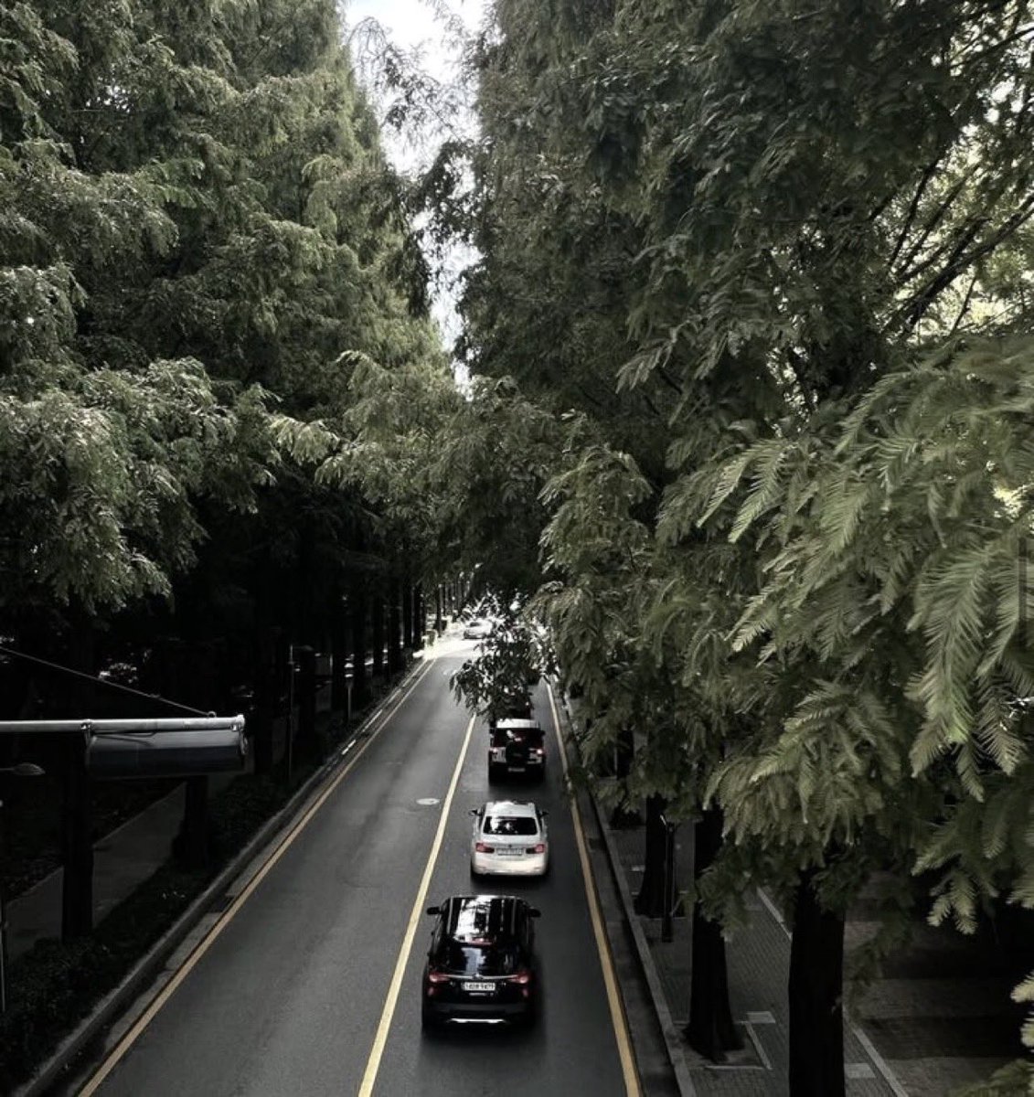 Cici Teye, Dalton. tweet media